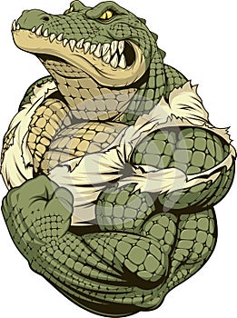 Ferocious strong crocodile