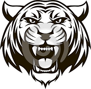 Ferocious tiger head