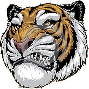 Ferocious tiger roars