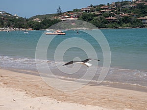 Ferradura beach in Buzios, Brazil