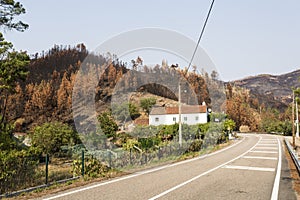 Ferreira do Zezere Forest Fires