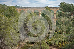 The Ferreres Aqueduct in the forest