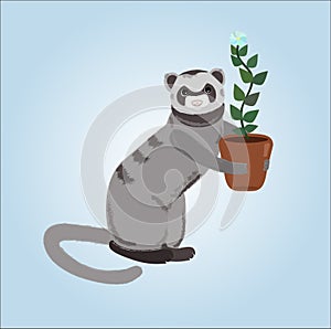 Ferret with a flowerpot