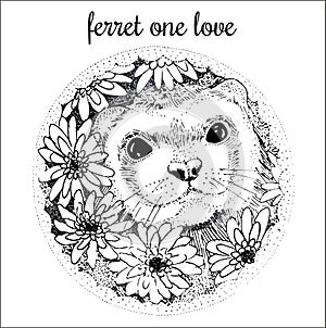 Ferret handdrawn illustration with flowers