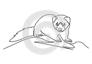 Ferret. One line drawing vector illustration