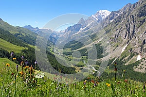 Ferret Valley and Mont Blanc panoramic view