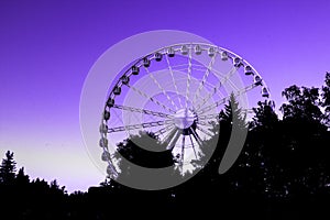 Ferris wheel in the amusement park in the background of trees with a bright sunset light modern color of the year 18-3838