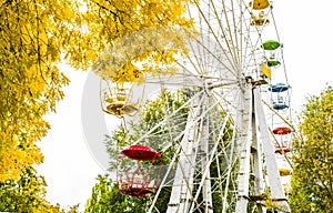 Ferris wheel in the autumn park. Autumn city. photo