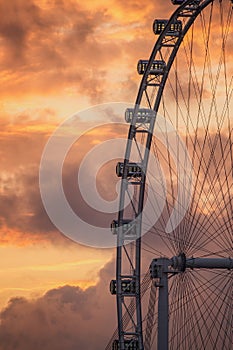 Ferris Wheel on the background of evening sky