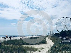 Ferris wheel by the beach, mrytle beach, sc photo