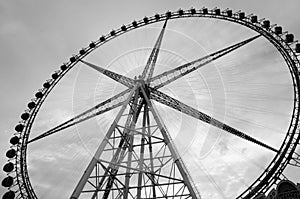 Ferris Wheel photo