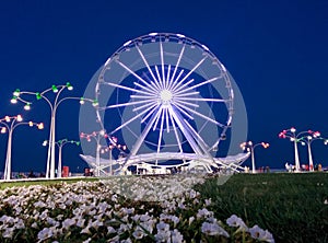 Ferris wheel on boulevard .