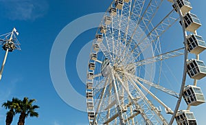 Ferris Wheel with Clean Sky and palm trees