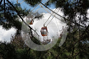 Ferris wheel close up view through tree brunches