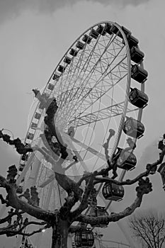 Ferris wheel