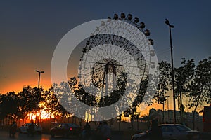 Ferris wheel golden light