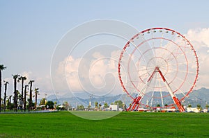 Ferris wheel on green field, mountains, palms and blue sky with light clouds in Batumi, Georgia