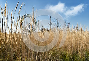 Ferris wheel with herbage