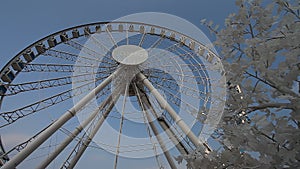 Ferris Wheel Hong Kong