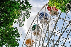 Ferris wheel with multi-colored booths. Green tree