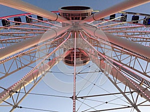 Ferris wheel in Navy Pier
