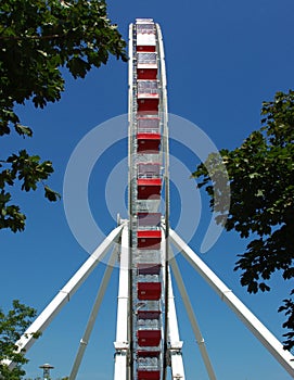 Ferris Wheel at Navy Pier Chicago, IL