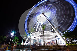 Ferris Wheel at Night