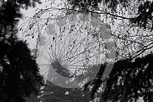 Ferris wheel in an old abandoned park in the autumn in thick fog