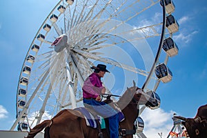 Ferris Wheel at the Orange County Fair