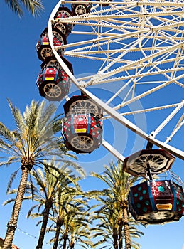 Ferris Wheel With Palm Trees