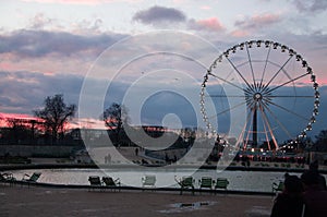 Ferris wheel in Paris. Roue de Paris. View from The Tuileries Garden. Sunset in Le jardin des Tuileries