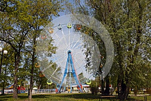 Ferris wheel in the Park. view through the foliage of trees