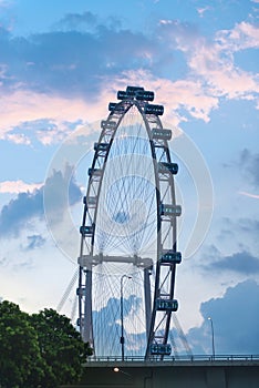 Ferris wheel - Singapore Flyer