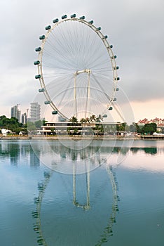 Ferris wheel - Singapore Flyer