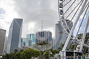 Ferris Wheel soaring his over the Miami waterfront at Bayside Market Place