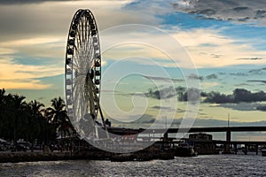 Ferris Wheel at sunset in Miami.