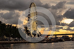 Ferris Wheel at sunset in Miami.