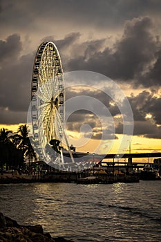 Ferris Wheel at sunset in Miami.