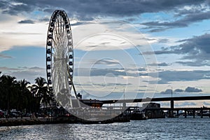 Ferris Wheel at sunset in Miami.