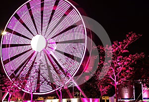 Ferris wheel photo