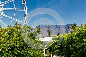 Ferris wheel and Table Mountain view at Waterfront in Cape Town
