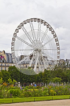 Ferris wheel in Tuileries Garden.