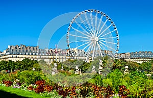 Ferris wheel at the Tuileries Garden in Paris, France