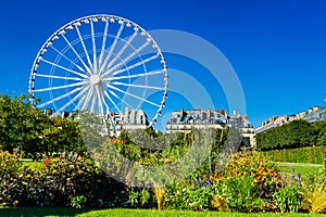 Ferris wheel at the Tuileries Garden in Paris, France