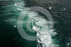 Ferry across the Bosphorus in Istanbul