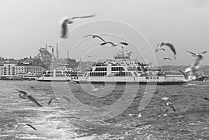 Ferry on agitated sea photo