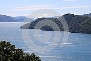 Ferry approaching Picton, South Island New Zealand