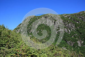 Ferry Gulch Landscape