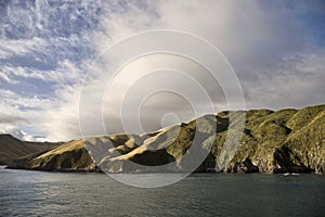 Ferry View Picton New Zealand