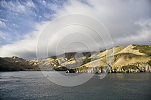 Ferry View Picton New Zealand